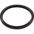 Light Gasket, Zodiac,   Pool Light, Silicone