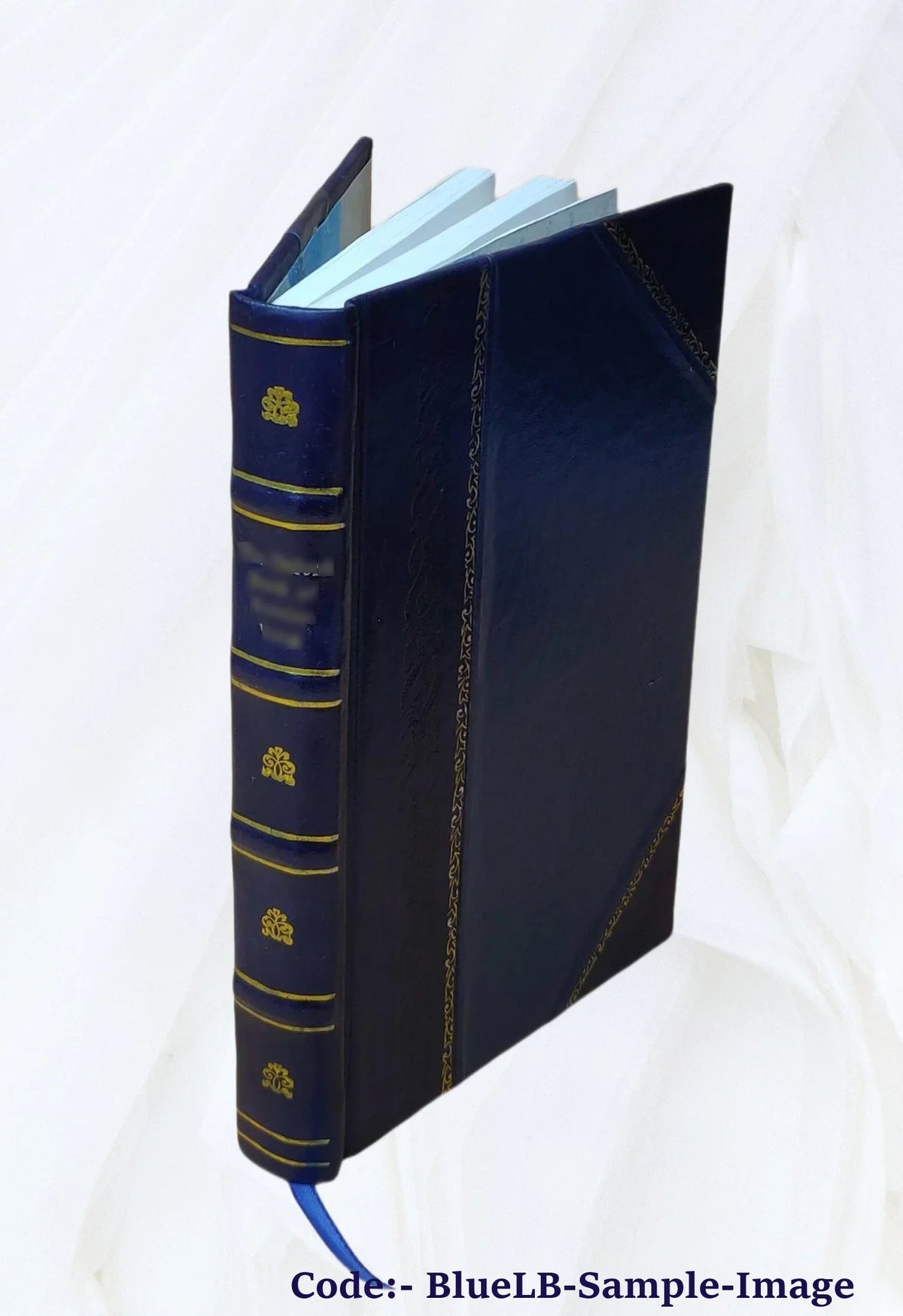 Sulle strade ferrate pontificie pensieri economico-amministrativi 1846 [Leather Bound]