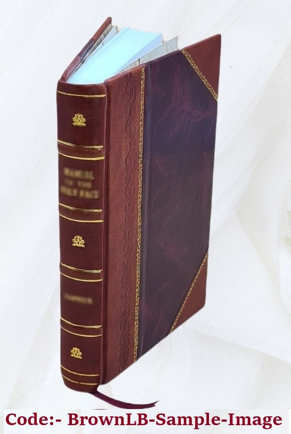 The wilderness hunter; an account of the big game of the United States and its chase with horse, hound, and rifle; Volume 2 1893 [Leather Bound]
