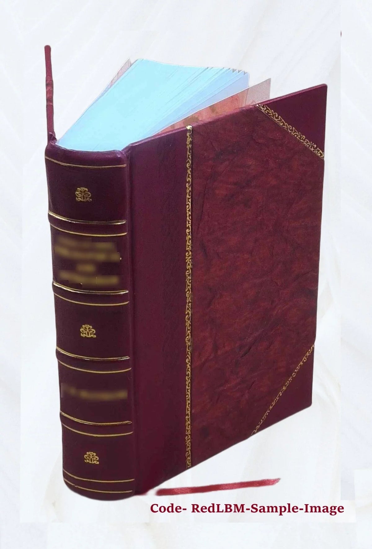 Grenzfragen des Nerven- und Seelenlebens. Volume Bd.7:Heft42-47 (1906) 1906 [Leather Bound]